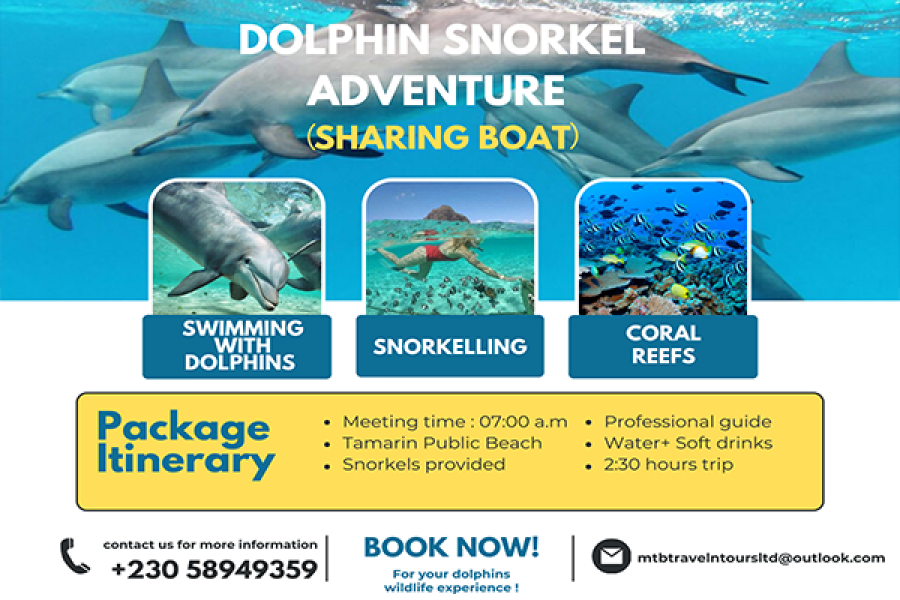 Dolphins Encounter Boat Trip