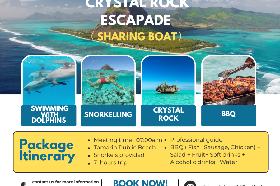 Ile Aux Benitiers + Lunch Boat Trip